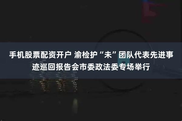 手机股票配资开户 渝检护“未”团队代表先进事迹巡回报告会市委政法委专场举行