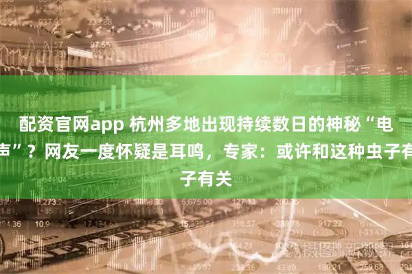 配资官网app 杭州多地出现持续数日的神秘“电流声”？网友一度怀疑是耳鸣，专家：或许和这种虫子有关