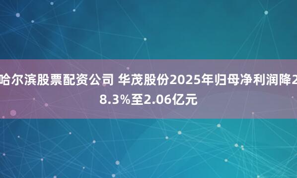 哈尔滨股票配资公司 华茂股份2025年归母净利润降28.3%至2.06亿元