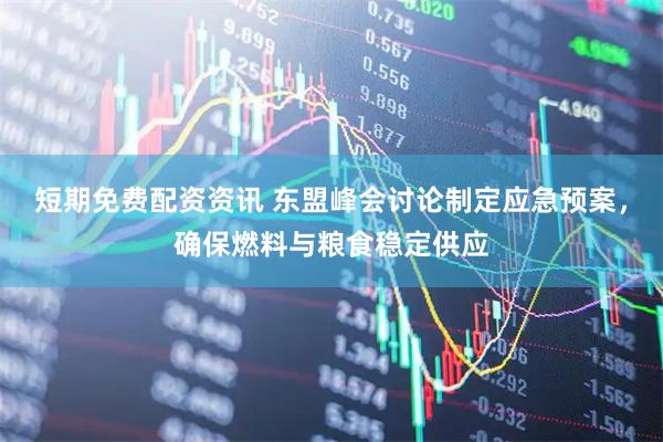 短期免费配资资讯 东盟峰会讨论制定应急预案，确保燃料与粮食稳定供应